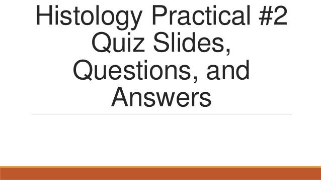 histology exam questions